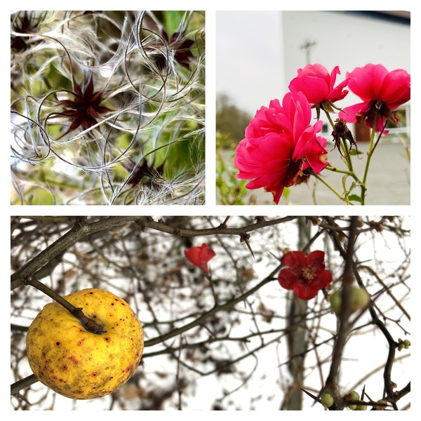 foto 2 bij pareltje 002